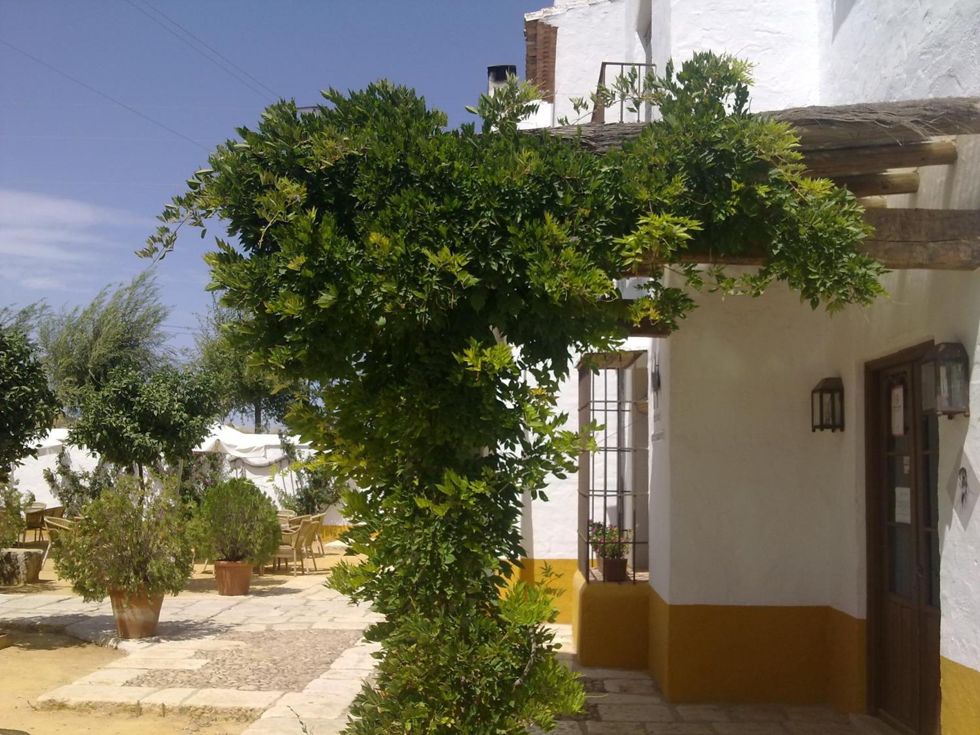 Posada De Jose Mª El Tempranillo Alameda Екстер'єр фото